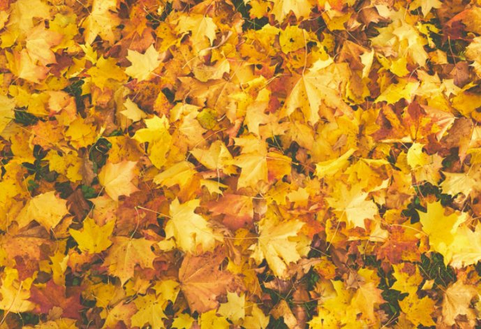 5 FREE Bundle Ideas for Translating Summer Pieces to Autumn - Boutique by the Box